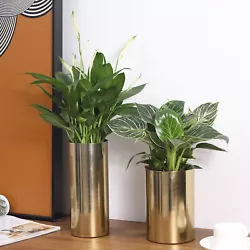 Set of 2 various sized, 7 inch and 9 inch tall brass tone cylinder metal vases for adding a touch of modern elegance...