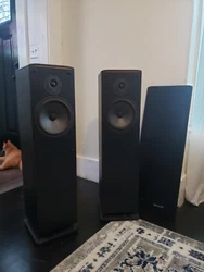 polk audio rt10 floor standing speakers. Condition is Used. Shipped with UPS Ground.