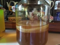 Le Champignon kombucha (scoby) + liquide de reprise (6-7 cm de diamètre) servent de 