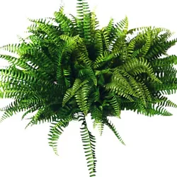 Lifelike Large Boston Fern Plant Green Grass. 10 Fake Persian Flower. It has 7 Branches 35 leaves.