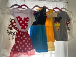 Girls 4T Disney Frozen Minnie Cinderella dress lot. The Frozen and Cinderella dresses are sized 110 but my daughter...