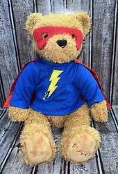 FAO Toys R Us Retired Superhero Brown Bear 2013. Red Mask and Cape, Blue Shirt.