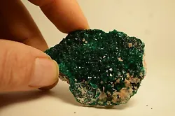Dioptase provenant de Tantara au Congo avec un cristal de 22mm de long.