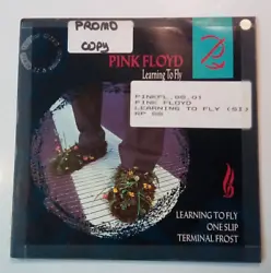 PINK FLOYD. ORIG FR SP 2022167 EMI 1988.