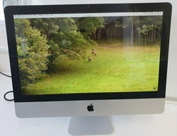 Votre achat est protégé. Que vous ayez acheté mon erreur, un mauvais article, changé davis ou que nous vous ayons...