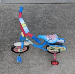 This Huffy Spiderm 10