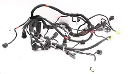 DUCATI STREETFIGHTER V4 S 2020 MAIN ENGINE WIRING HARNESS MOTOR WIRE LOOM.