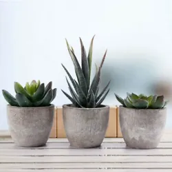 3 x OUNONA Decorative Faux Succulent Artificial Succulent Fake Simulation Plants with Pots. Made of premium material,...