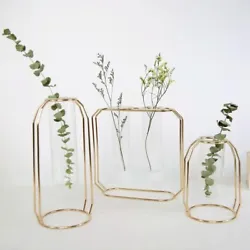 1 x Glass Tube Plant Pot. - House your hydroponics or dried flowers in our glass tube plant pot. - Handmade glass tube...
