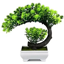 Always forget to water your lovely plant?. Tired of dead plants?. fit any room decor for bedroom aesthetic, office...
