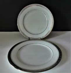 Set of 2 Platinum Rim Salad Plates.