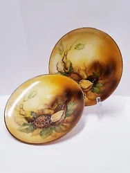 2 Vintage Noritake Japan Hand Painted Porcelain Walnuts Motif Plate Circa 1920s. What you see is exactly what you will...
