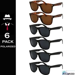 The glasses ordered will be. Enjoy the Sunglasses and Enjoy the Deal!