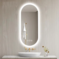 Oval LED Illuminated Bathroom Mirror HD Vanity Mirror Memory Stepless Dimmable.