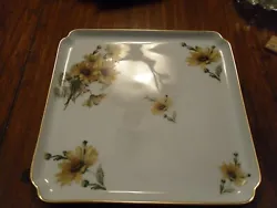 We have always used this Limoges square, flat plate to serve cookies and other goodies. The plate is marked 