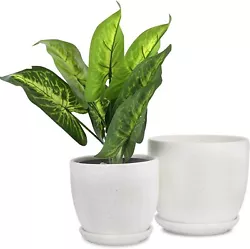 The plant pots indoor widely suit: succulents, cacti, pothos, herb, spider plant, orchid and a lot more. Deep pot space...