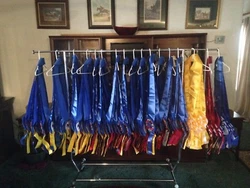 Everything From Common 12” Bridle Ribbons. If You Are Looking To Get Multiple Ribbons. From A Few Seasons Ago, Never...