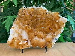 Brazilian Citrine Cluster are the newest addition to our flatted minerals. These citrine clusters will have variations...