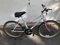 Pick up only in Milford Connecticut . This is used has a little rust on the surface but it’s a good starter Bike. The...