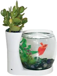 Betta Bowl & Planter. Use the Planter area as a planter or a desktop organizer. Gravel, plants, fish and batteries (3...