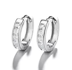 Small Huggie Hoop Earrings/1Pair. 925 Sterling Silver Plated CZ. Material: 925 Silver Plated. Care for Plated Jewelry....