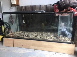 Aquarium (avec nurserie). État : 