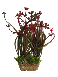 Lifelike aquarium plant, has different lengths of strands. The leaves, flowers or strands move in a realistic manner in...