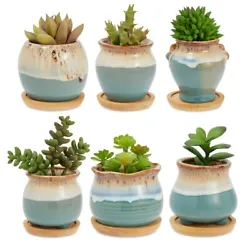 Small Succulent Pots: Grow a wide variety of herbs, succulents, and flowers in this set of ceramic succulent pots that...