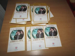 Lot de 53 pochettes de 4 images Harry Potter.
