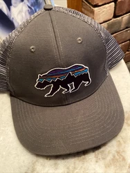 Patagonia Fitz Roy Bear Snapback Trucker Hat Mesh Back- Forge Grey.