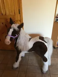 The pony itself has been used, but is in great condition and works perfectly.