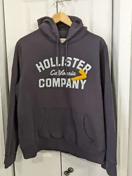 Mens Size XL Hollister Vintage HoodiePre-owned Excellent conditionPit to pit 25