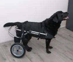 Le chariot pour les chiens handicapés ou paralyses pour les pattes arrières Taille S. TAILLE XXL 53-60 57-68,5 32....