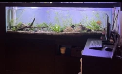 125 gallon fish tank. I have used for couple of months . It’s a big tank and takes too much space . I’m planing on...
