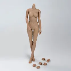 Female body 1. Scale: 1/6. Color:as picture.