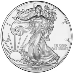 2013 American Silver Eagle 1 oz. Coin US $1 Dollar Mint BU Uncirculated.  Ships same day in plastic flip