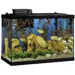 The20-Gallon Aquarium Starter Kit is just what you need to dive into the world of fishkeeping. The team at Tetra has...