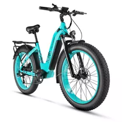 Batterie 48V 17Ah. Moteur Bafang 750W. La batterie: 1 an. les pièces: 2 années. Cadre: 2 années. Poids du vélo 66...