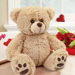 Adorable Teddy Bear Plush Toy. This teddy bear features embroidered paws for an extra cute touch; super soft fur, and a...