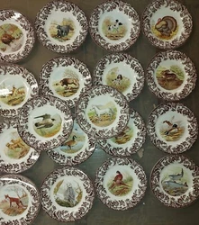 Snowy owl red fox rabbit. gold ret turkey pheasant.