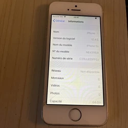 Apple IPhone 5s - 64 Go - Gris Sidéral Débloqué iCloud - Écran Cassé - (413). Port Lightning bug lors de la...