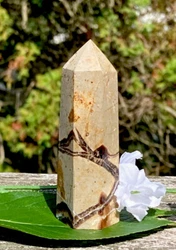 These minerals display the common color combinations of yellow, light and dark brown, white and/or gray. NOTE: The...