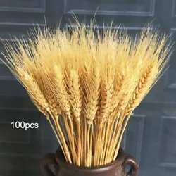 100/200 x Artificial Wheat Dried Flowers. Due to the difference between different monitors, the picture may not reflect...