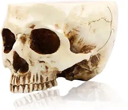It looks like a real skull and can be used as a Halloween prop. A small hole is drilled in the bottom of each pot to...