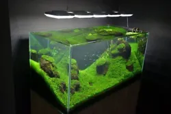 Unleash the Unparalleled Beauty of Your Aquatic World with Custom Rimless Aquariums. Step beyond the limitations of...