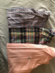 lot of polo ralph lauren button down shirt medium. All shirts gently used.