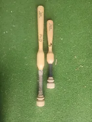 Cam Wood training bat (30