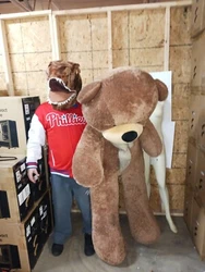 Giant Teddy Brand 6 Foot Life Size Mocha Brown Color Big Plush Teddy Bear Sunny.