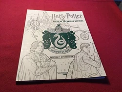 Harry Potter : livre de coloriage officiel Serpentard -ambition et determinarion. Très bon état comme neuf