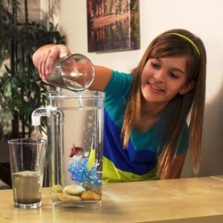 To clean this desktop aquarium, all you have to do is simply pour a glass of water into the aquarium and clean the...